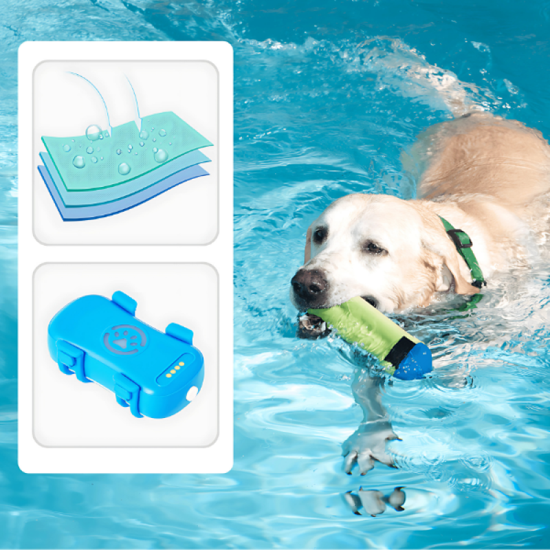 Pet GPS Tracker view 3