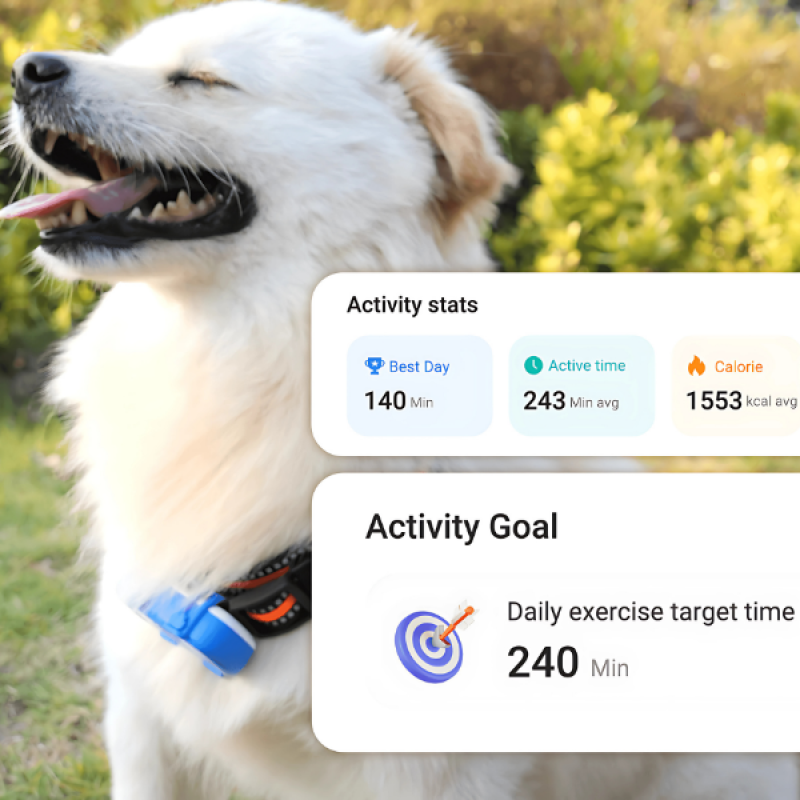 Pet GPS Tracker view 2